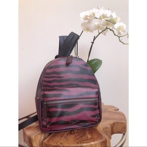 Backpack/purse